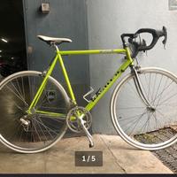 Bicida corsa