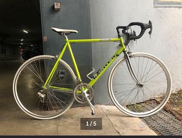 Bicida corsa