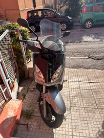 Xmax 250