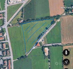 Terreno agricolo