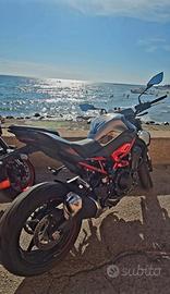 kawasaki z900 2025