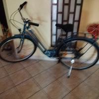 bici da passeggio