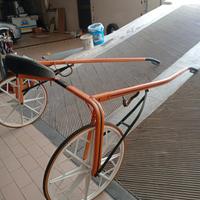 Cavalli trottatore