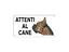 Immagine 6