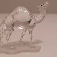 SWAROVSKI DROMEDARIO