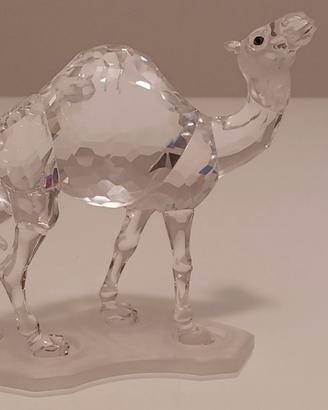 SWAROVSKI DROMEDARIO
