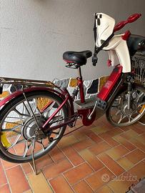 Bici elettrica Vale HARRY