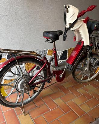 Bici elettrica Vale HARRY