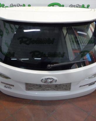 PORTELLONE - TELECAMERA HYUNDAI SANTA FE 2017