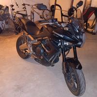Kawasaki Versys 650
