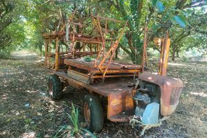 Carro per raccolta frutta 