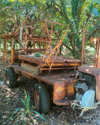 Carro per raccolta frutta 