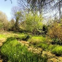 Oasi di Pace per rilassarti e coltivar