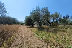 TER. AGRICOLO A CASTEL SANT'ELIA