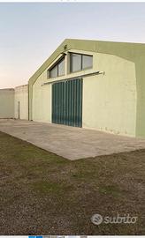 Capannone e terreno Olia speciosa