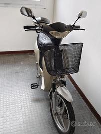 Bici Elettrica pedalata assistita