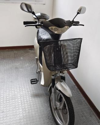Bici Elettrica pedalata assistita