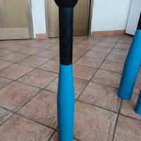 Clubbell capital sports 12 kg