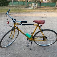 Bicicletta Grandis