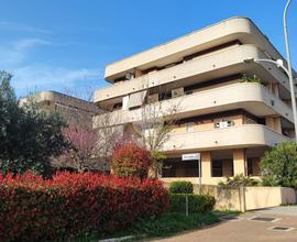 2 LOCALI A ROMA