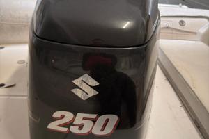 Calandra SUZUKI 250/300 - Anno 2010