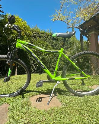bicicletta da ragazzo da 12 a 10 anni