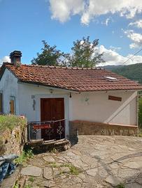 Casa a Montemignaio ( AR )