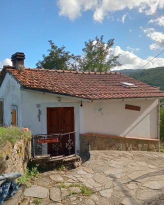 Casa a Montemignaio ( AR )
