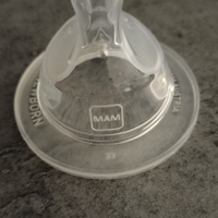 Ciuccio MAM