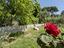 Immagine 21
