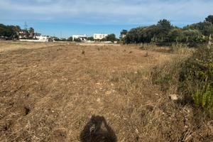 Terreno a espansione turistica