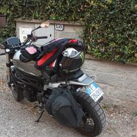 Benelli Leoncino 800 - 2023