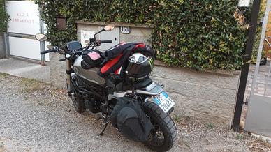 Benelli Leoncino 800 - 2023