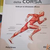Anatomia della corsa