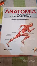 Anatomia della corsa