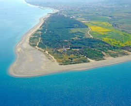 Vacanze 24 Bandiere blu ultima disp. 24 31 Agosto