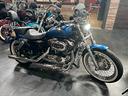 2009-sportster-1200-low