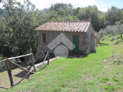 RUSTICO A POGGIO MOIANO