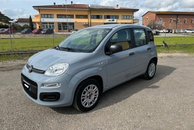 Fiat Panda 1.2 Easy iva esposta