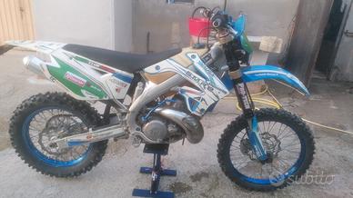 tm en/mx 250 