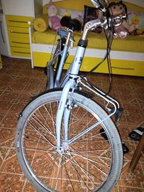 bici da passeggio 