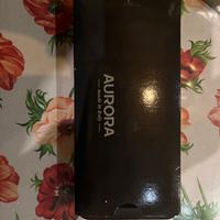 Penna stilografica aurora