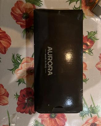 Penna stilografica aurora