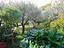 Immagine 30