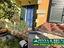 Immagine 12