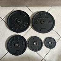 Dischi palestra domyos