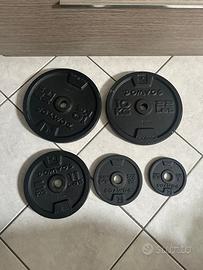 Dischi palestra domyos