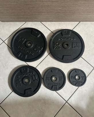Dischi palestra domyos