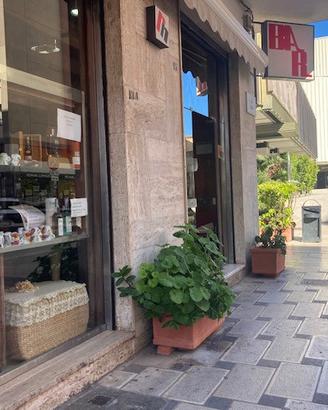 Negozio Brindisi [SG414VCG]