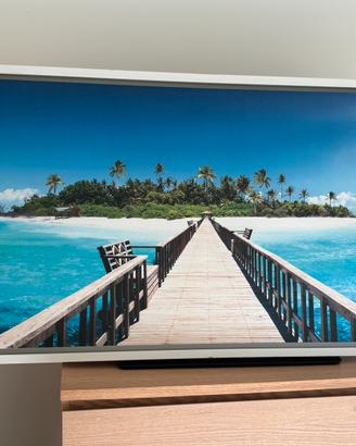quadro sfondo marino 127x67